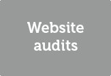 Website audits